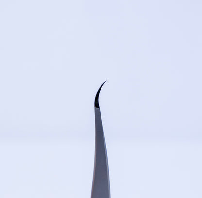 ABA Precision Curved Isolation Tweezer
